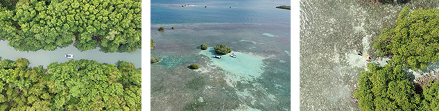 bateau avec skipper cul-de-sac guadeloupe